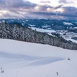 公寓 App 1511 - Schwarzwaldhirsch - Mit Innenpool Und Sauna, 施卢赫湖