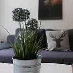 App 1511 - Schwarzwaldhirsch - Mit Innenpool Und Sauna, 3*
