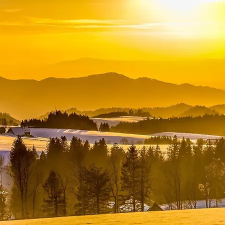 App 1511 - Schwarzwaldhirsch - Mit Innenpool Und Sauna, Apartamento