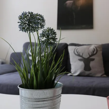 App 1511 - Schwarzwaldhirsch - Mit Innenpool Und Sauna, *