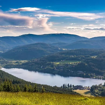 Appartement App 1511 - Schwarzwaldhirsch - Mit Innenpool Und Sauna, Schluchsee