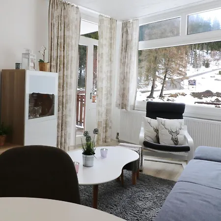 App 1511 - Schwarzwaldhirsch - Mit Innenpool Und Sauna, Schluchsee