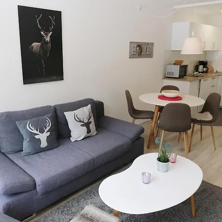 App 1511 - Schwarzwaldhirsch - Mit Innenpool Und Sauna, *