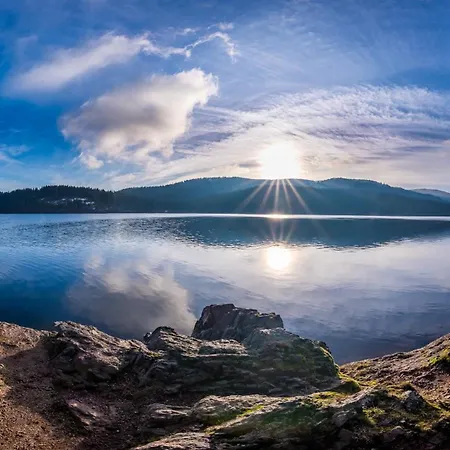 App 1511 - Schwarzwaldhirsch - Mit Innenpool Und Sauna, Schluchsee