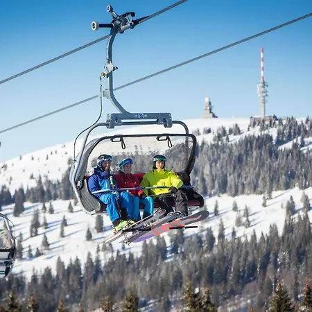 App 1511 - Schwarzwaldhirsch - Mit Innenpool Und Sauna, * Schluchsee