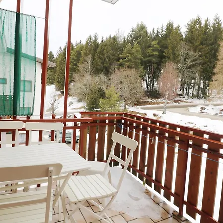 App 1511 - Schwarzwaldhirsch - Mit Innenpool Und Sauna, Appartement Schluchsee