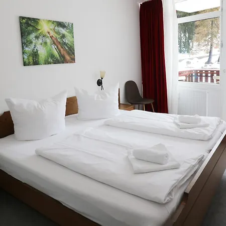 App 1511 - Schwarzwaldhirsch - Mit Innenpool Und Sauna, *